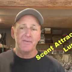 What Most Anglers Don’t Know About Scent Attractants On Lures…