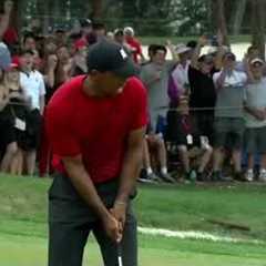 Top 10 Putts from Tiger Woods