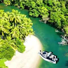 Fishing Remote Coastal Creeks Catch and Cook