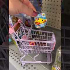 Mini Shopping At Walmart! #minishopping #minis #miniature