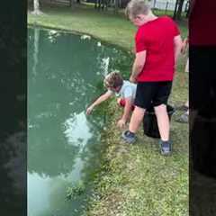 Kid catches fish using just his hands