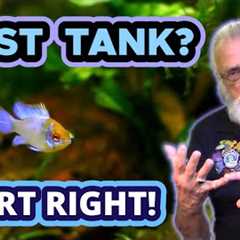 3 Things You MUST DO RIGHT in Your New Aquarium #firstaquarium