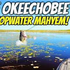 Fishing ONLY FROGS in a Pro Fishing Tournament!! Lake Okeechobee Topwater Insanity!