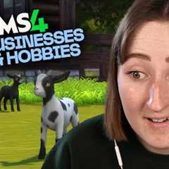 Building a PETTING ZOO in The Sims 4: Businesses & Hobbies pt. 1 (Streamed 3/13/25)