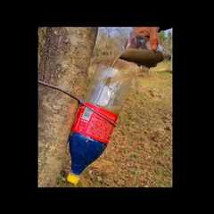 Survival Skills: Amazing DIY Water Filter from Your Own T-shirt the Wild. Bushcraft. Camping 1