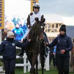 First ride in Britain & at Cheltenham = Kim Muir glory for Barry Stone aboard Daily Present!