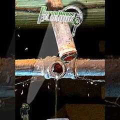 If You have Galvanized Water Pipes Consider Replacing #performance #plumbing #education #shorts