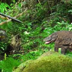 The Girl Brutal Jungle Survival Against a Komodo Dragon - Survival Skills