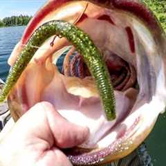 Big Bass CAN'T RESIST The Wacky Worm!