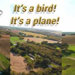 Relaxing FPV Drone Freestyle Flight Over the Country #avata2 #fpvfreestyle #quadcopter