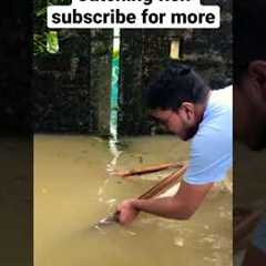 Catching fish in flood time #foryou #fishing