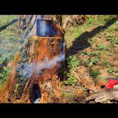 Survival Skills: Amazing DIY Stove from a Tree Stump in the Wild. Bushcraft. Camping