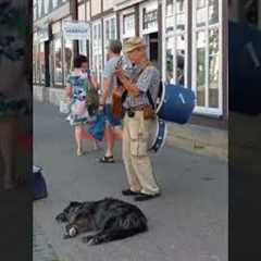 Street musician plays guitar on the street. Sokak müzisyeni caddede gitar çalıyor. #guitar