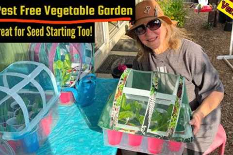 $3 Mini GARDEN DIY w/Pest Cover, Green House Protect Seeds &amp; Plants Container Gardening Small..