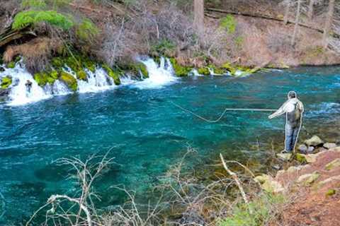 Fly Fishing for some of the coolest fish on the planet! (Bull Trout Pt. 1)