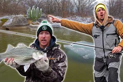 Fishing ICEY Banks for Heavy Hybrid Striped Bass with Jon B