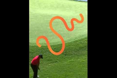 Tiger Woods Top 3 Shots of All-Time!