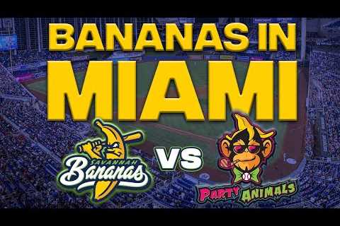 SOLD OUT MLB Stadium: Loandepot Park in Miami, Florida - Savannah Bananas vs Party Animals
