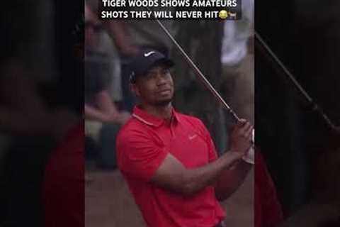 Only Tiger Woods could hit these types of shots