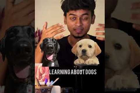 Machine Learning Explained🔥in 30 Seconds. #shorts #machinelearning