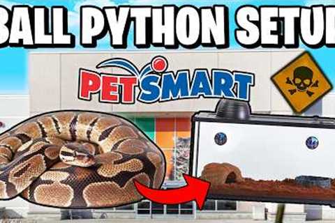 Ball Python Setup for Beginners