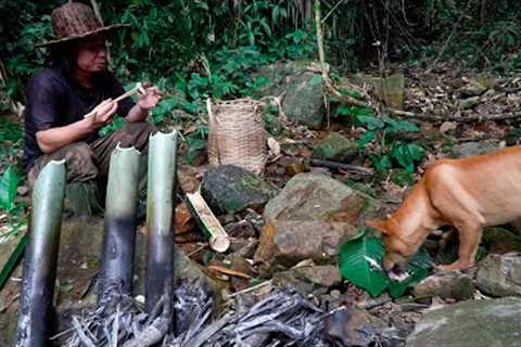 2 days of survival in the forest, meeting baby birds, snakes, catching fish, getting bamboo shoots