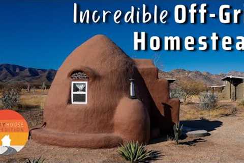 Family's Epic Tiny Home Journey! Building Dream Off-Grid Homestead