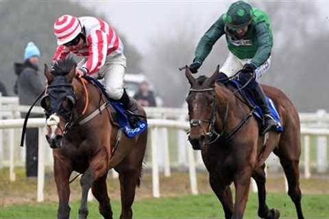 50/1 chance SENECIA shocks EL FABIOLO in Webster Cup