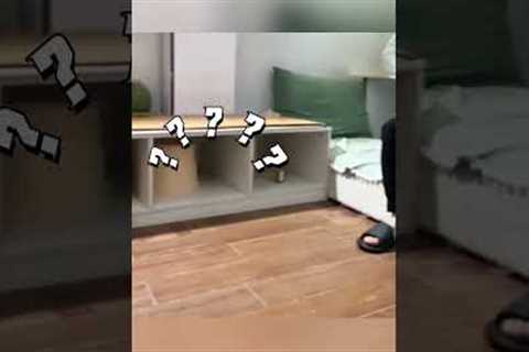 Kittens have strong learning ability.🤣#funnypetschannel #funny #pets #cat #kitten