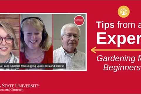 Tips from an Expert: Gardening for Beginners