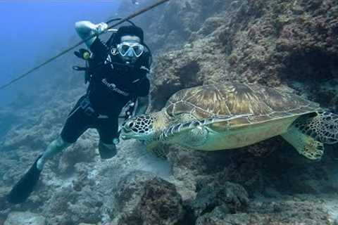 My First Scuba Dive at Maldives (Villa Nautica, Paradise Island)