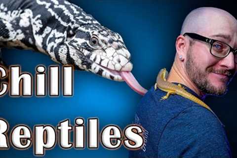 Top 5 Chill, Easy Handling Reptiles