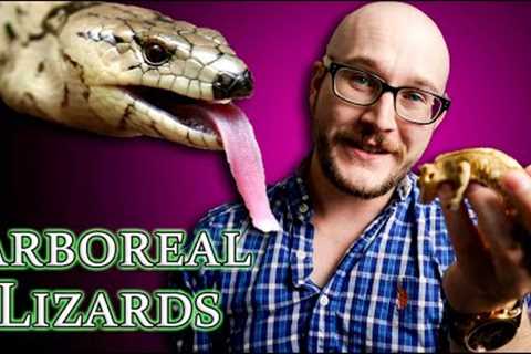 Top 5 BEST Arboreal Lizards