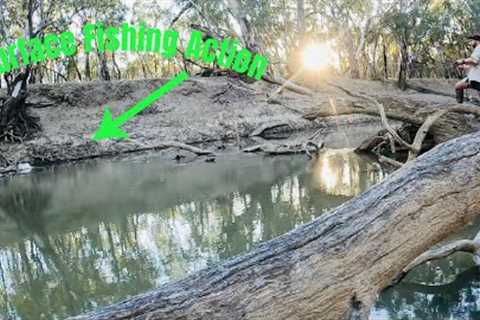 Topwater Surface Fishing Action - Chasing Murray Cod