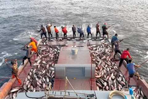 Full video of catching 10 tons of skipjack tuna in 15 minutes 🙀🎣