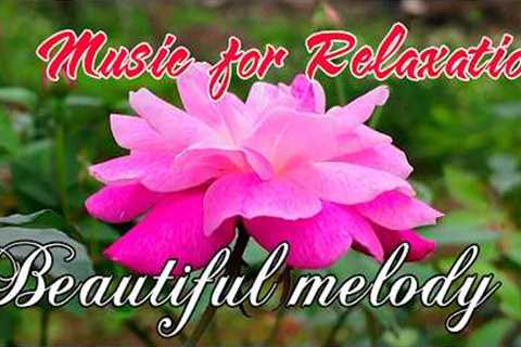Music for Relaxation and helps reduce stress, Beautiful melody, Relaxing music beautifies the soul