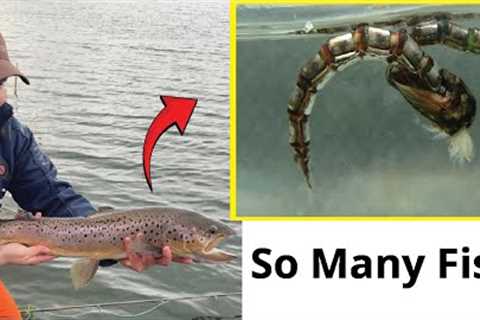 Why Buzzer Fishing is My Go-To Spring Method [And How You Can Master It!]