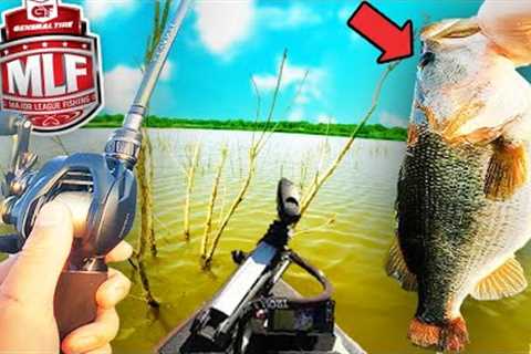 1v1v1v1 BIG BASS Fishing Tournament on TEXAS'S BEST LAKE (I WON!)