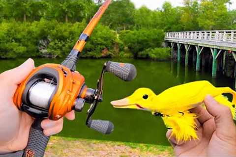 Fishing a Duck Lure for Pond MONSTERS!