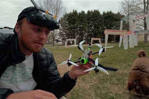 DJI O4 Pro Can Race... But How Well?