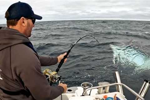 Fishing for GIANT Bluefin Tuna - Barrels of Portland !!