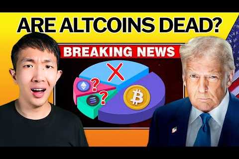Is the Crypto Bull Run Over? My Portfolio Update after the Trump Storm
