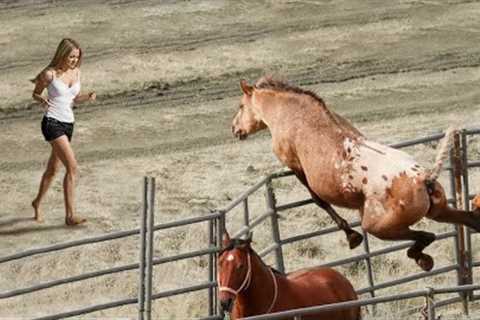 Animals Reunited With Owners After Years !