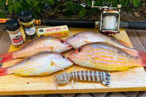 Mantis Shrimp and Snapper Catch n' Cook!!