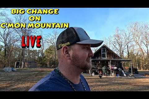 WHAT A DIFFERENCE tiny house homesteading off-grid cabin build DIY HOW TO sawmill tractor tiny cabin