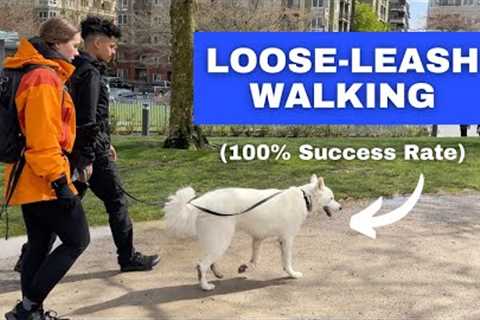 Train ANY Dog to Walk on a Loose Leash (Stop Leash Pulling)