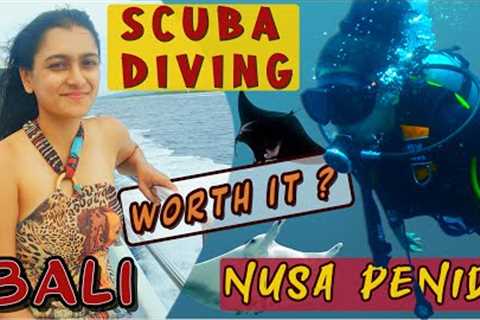 SCUBA DIVING in most BEAUTIFUL ISLAND Nusa Penida 🏖⛵️🛳🤿Bali  Trip Ep 4 |  Best Bali Travel vlog