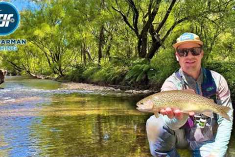 Dry Fly Fishing in North East Victoria