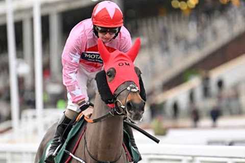 GO DANTE goes back to back in the Imperial Cup!
