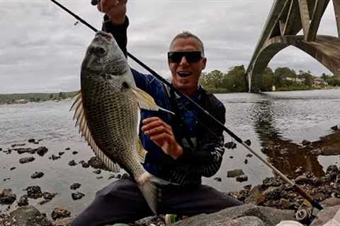 Landbased fishing Central coast (Catch &amp; Cook)